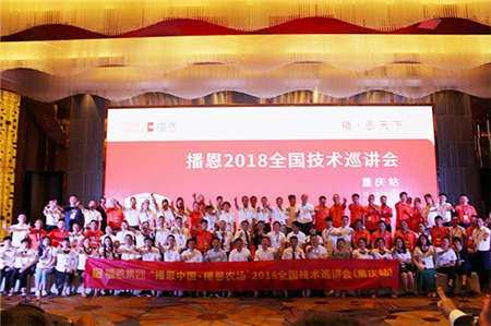 中国养猪网