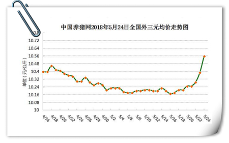 中国养猪网