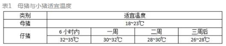 中国养猪网