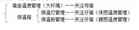中国养猪网