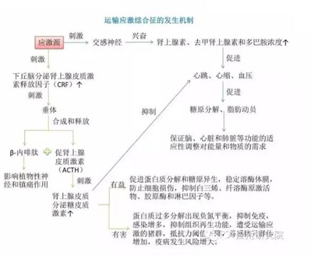 中国养猪网