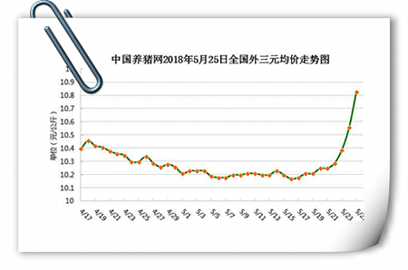 中国养猪网