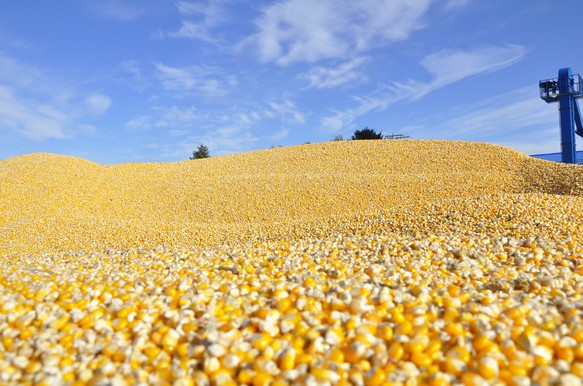 我们经常会说,小孩的脸及天气都难以捉摸,说变就变。我们发现,特朗普似乎也和天气有一拼,变化无常,总有惊喜或意外给世人。