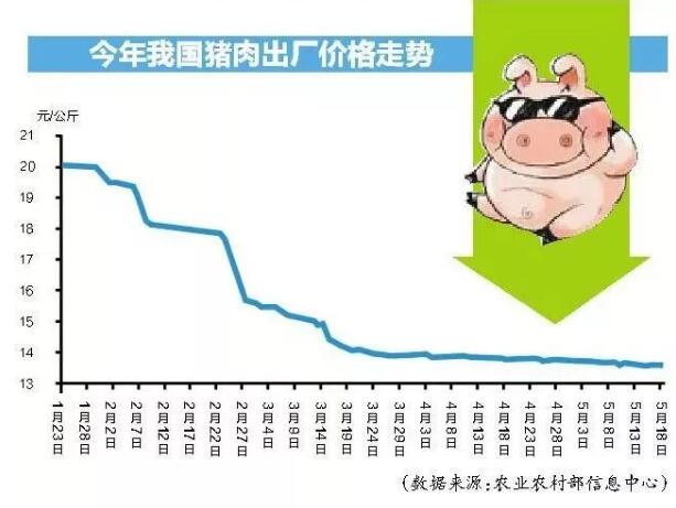 中国养猪网