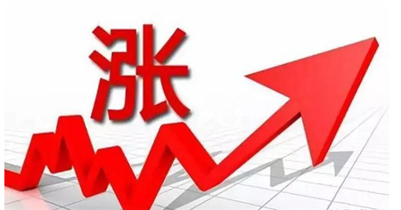 中国养猪网