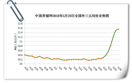 中国养猪网