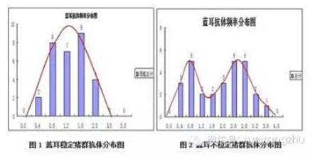 中国养猪网