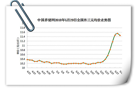 中国养猪网