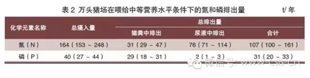 中国养猪网