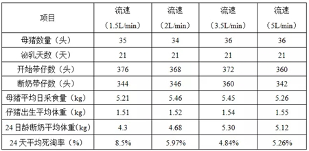 中国养猪网