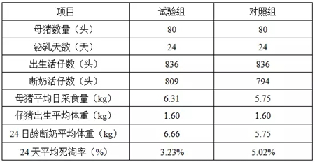 中国养猪网