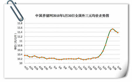 中国养猪网