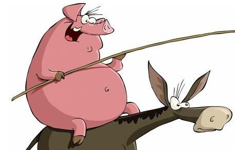 肌肉注射时用手指连续刺激注射部位几次后再进针，猪老实等待，不躲避。