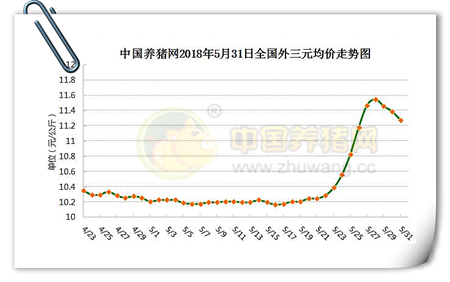 中国养猪网