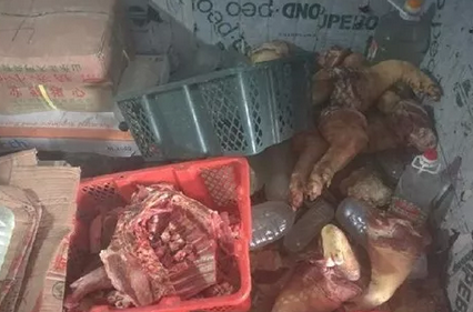 近日,广东珠海斗门警方成功打掉一个生产、销售病死猪犯罪团伙。该团伙从私人养殖场收购病死猪后,经加工再向周边宵夜店和大排档等进行销售。