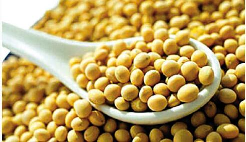 一方面，中美贸易战影响中国需求引发市场忧虑利空美豆下行，另一方面国内油厂豆粕库存也存在压力。外盘方面，美豆目前跌破1000美分支撑位运行。