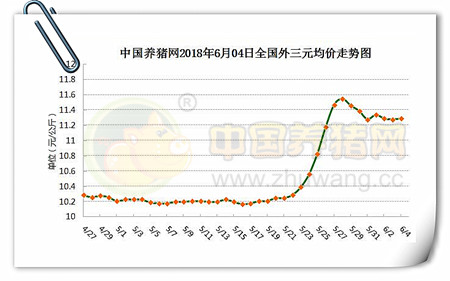 中国养猪网