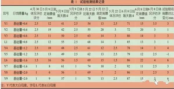 中国养猪网
