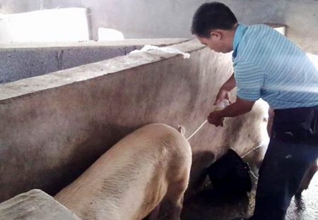 兽医行业未来会消失吗？