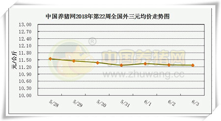 中国养猪网