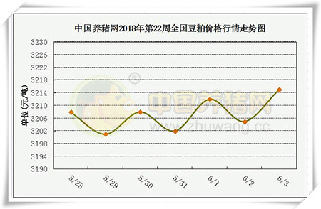 中国养猪网