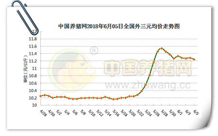 中国养猪网