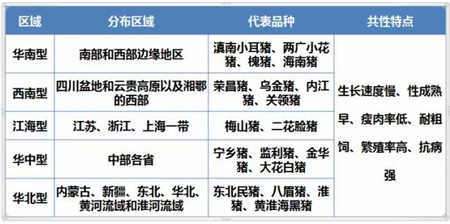 中国养猪网