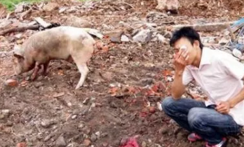 高考考不好，养猪养到老！