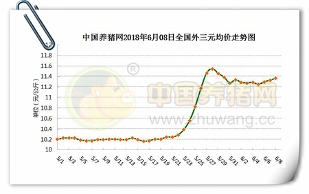 中国养猪网