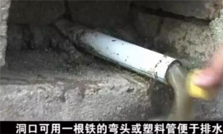 中国养猪网