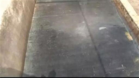 中国养猪网
