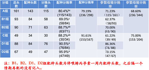 中国养猪网