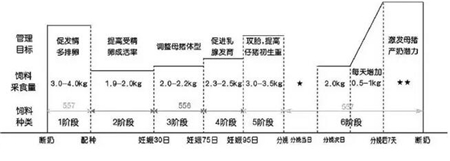 中国养猪网