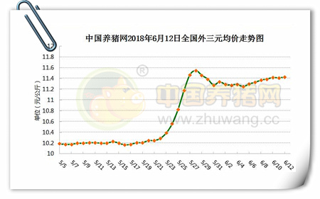 中国养猪网