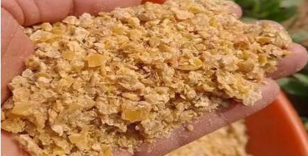 上周五，豆粕期货指数当日跌幅达3.03%，创下近三个半月以来新低。笔者认为，上周豆粕价格下跌的驱动在于美豆