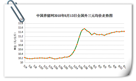 中国养猪网