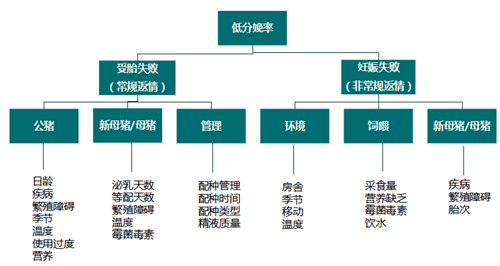 中国养猪网