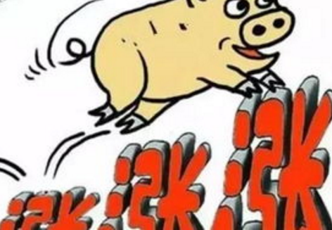 每个农牧行业的企业都希望自己的终端猪场客户不断增加,最好大猪场的客户多一些,销量能持续增长,这个需求是很正常的。