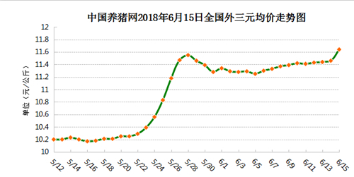 中国养猪网