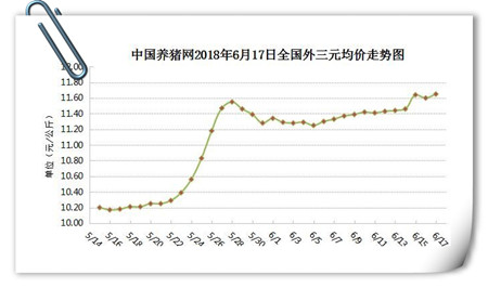 中国养猪网