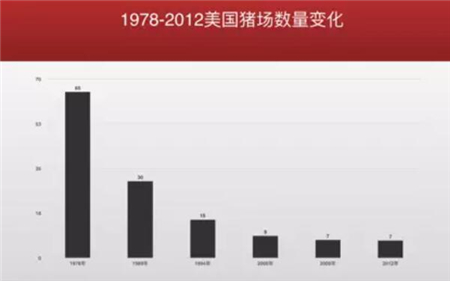 中国养猪网