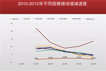 中国养猪网