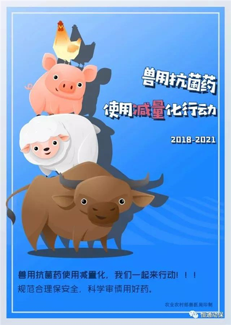 中国养猪网