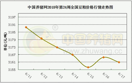 中国养猪网