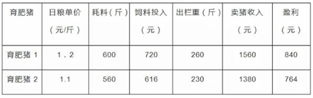 中国养猪网
