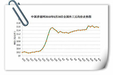 中国养猪网