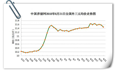 中国养猪网