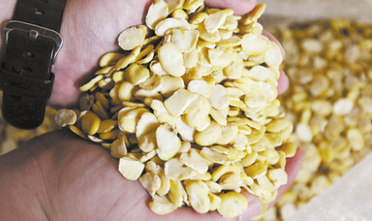 　我们长话短说，豆粕，关于豆粕，饲料人最关心的—产品。端午小长假期间及节后第一个工作日即6月19日，因中美贸易战正式开战，出现了一波暴涨行情