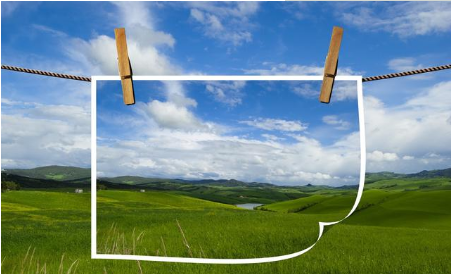 猪价整体呈现弱稳