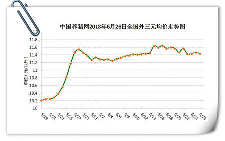 中国养猪网